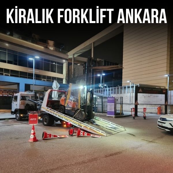 Koru bölgesinde günlük forklift kiralama hizmeti sunan forklift aracı